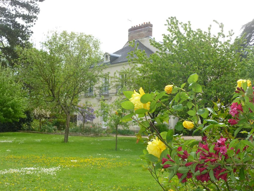 Cedre Et Charme Bed & Breakfast Saint-Branchs Exterior photo