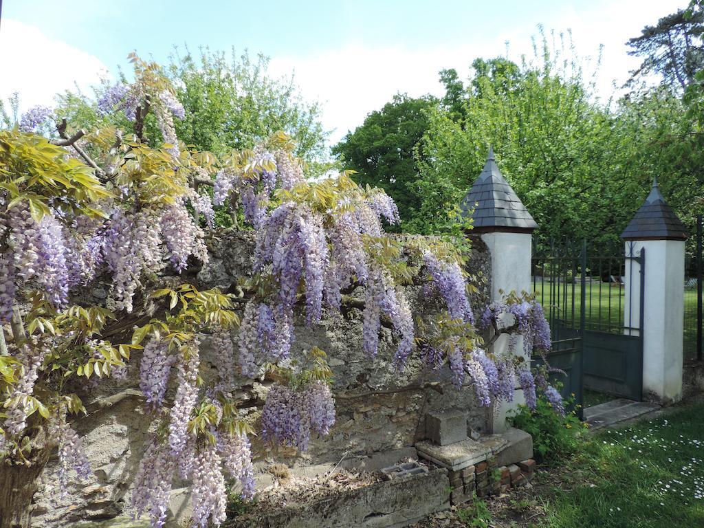 Cedre Et Charme Bed & Breakfast Saint-Branchs Exterior photo